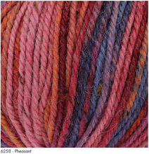 Load image into Gallery viewer, Homespun Prism Aran (King Cole)