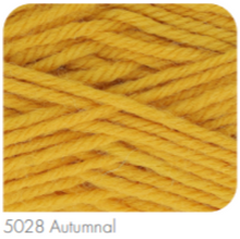 Load image into Gallery viewer, Wildwood Chunky (King Cole) : pre-order
