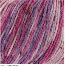 Load image into Gallery viewer, Homespun Prism Aran (King Cole)
