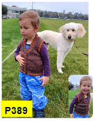 Load image into Gallery viewer, Allegro 8 Ply
